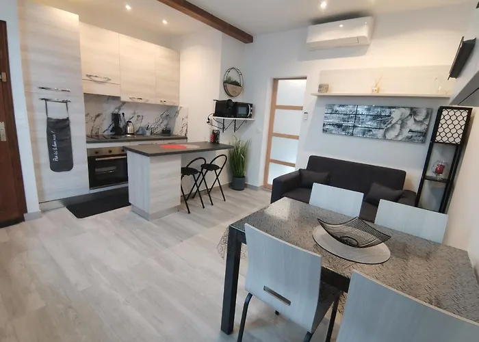 Coquet 2 Pieces Entierement Renove Et Climatise