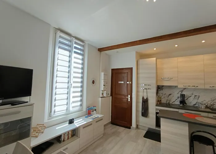 Coquet 2 Pieces Entierement Renove Et Climatise