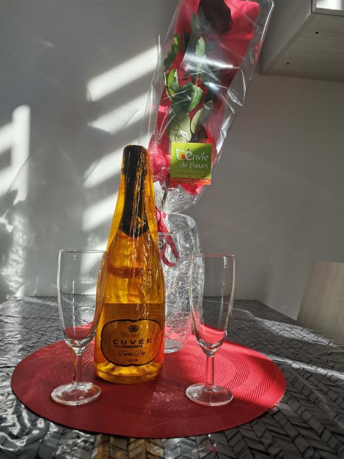 Coquet 2 Pieces Entierement Renove Et Climatise Cannes